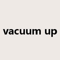 vacuum up是什么意思