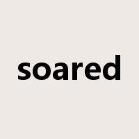 soared是什么意思