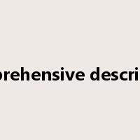 comprehensive description是什么意思