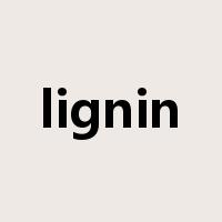 lignin是什么意思