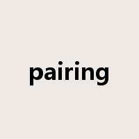 pairing是什么意思