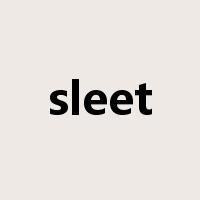 sleet是什么意思