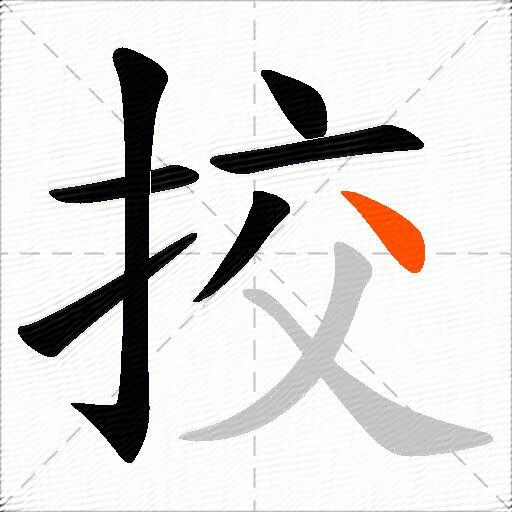 挍