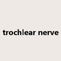 trochlear nerve是什么意思