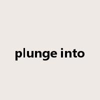 plunge into是什么意思