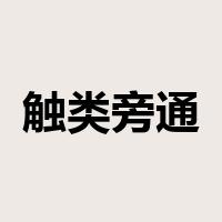触类旁通是什么意思