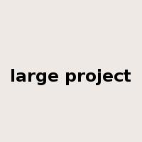 large project是什么意思