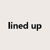 lined up是什么意思