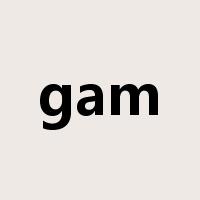 gam是什么意思