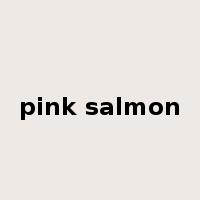 pink salmon是什么意思