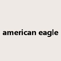 american eagle是什么意思
