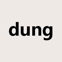 dung是什么意思