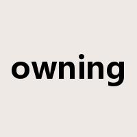 owning是什么意思