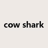 cow shark是什么意思