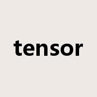 tensor是什么意思