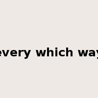 every which way是什么意思