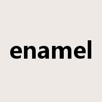 enamel是什么意思
