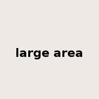 large area是什么意思