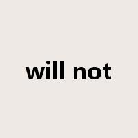 will not是什么意思