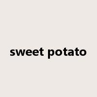 sweet potato是什么意思