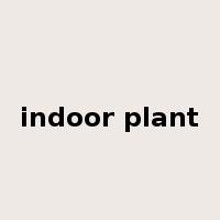indoor plant是什么意思
