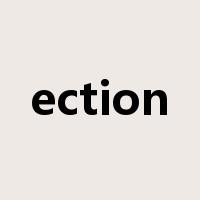 ection是什么意思