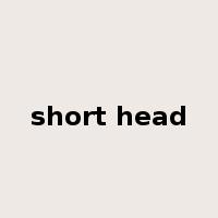 short head是什么意思