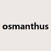 osmanthus是什么意思