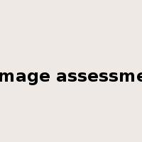 damage assessment是什么意思