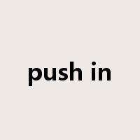 push in是什么意思