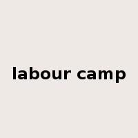 labour camp是什么意思