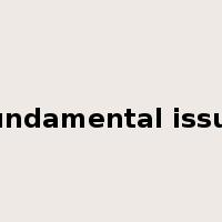 fundamental issue是什么意思