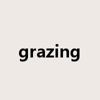 grazing是什么意思