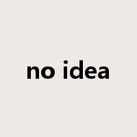no idea是什么意思