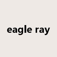 eagle ray是什么意思