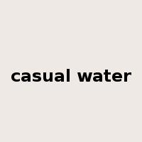 casual water是什么意思