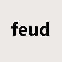 feud是什么意思