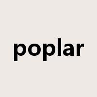 poplar是什么意思