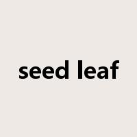 seed leaf是什么意思