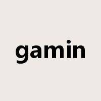 gamin是什么意思