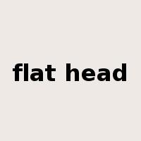 flat head是什么意思
