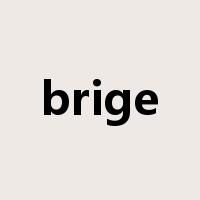brige是什么意思
