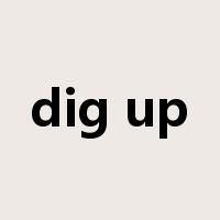 dig up是什么意思