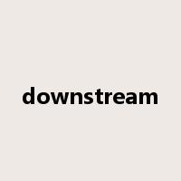 downstream是什么意思