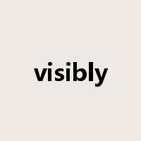 visibly是什么意思