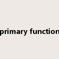 primary function是什么意思