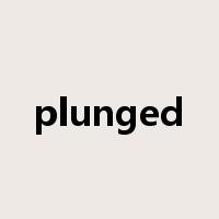 plunged是什么意思