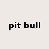 pit bull是什么意思