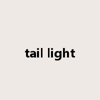 tail light是什么意思
