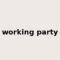 working party是什么意思